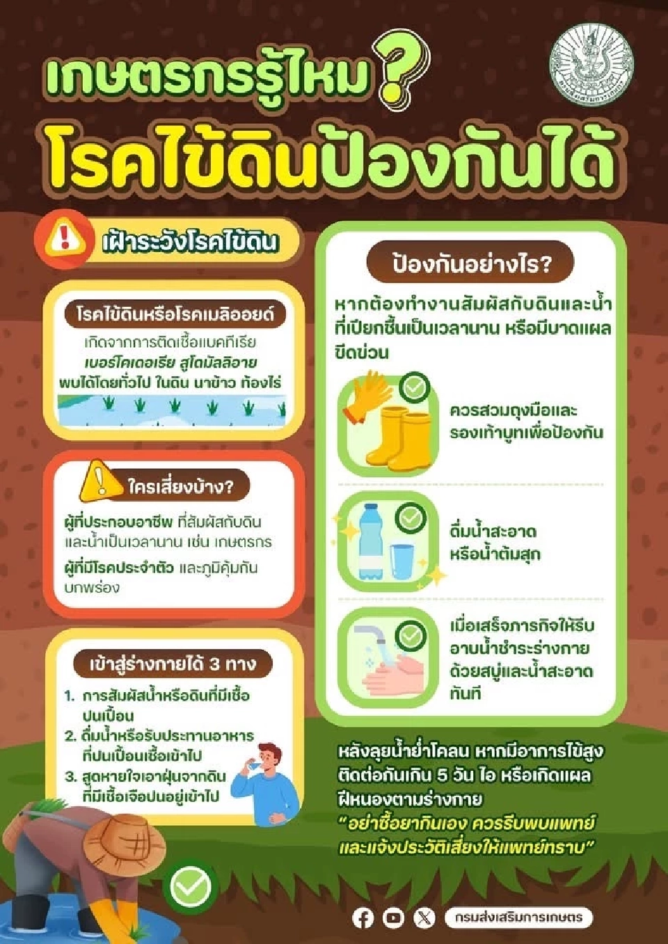 ที่มา : ภาพกรมส่งเสริมการเกษตร