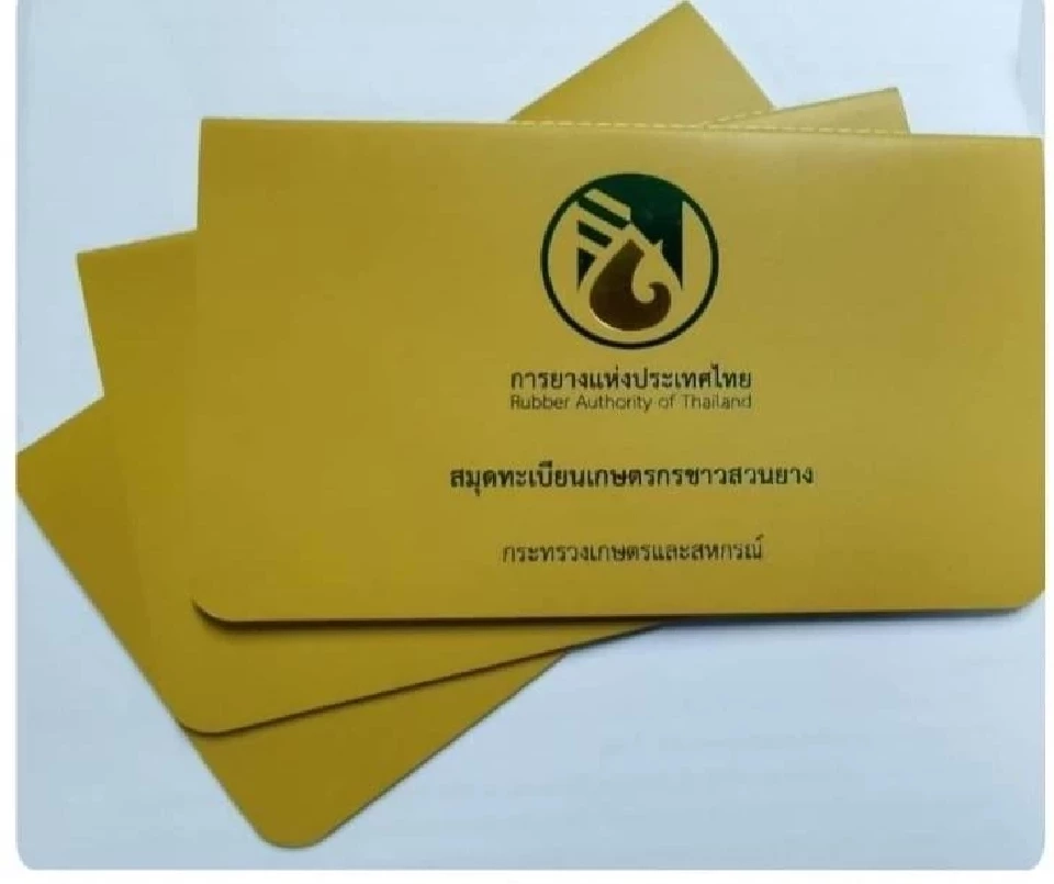 สรุปครบ! ชาวสวนยางที่ยื่นขอโค่นยางฯ แล้วยังไม่ได้รับเงิน ไร่ละ 1.6 หมื่นบาท ต้องทำอย่างไร