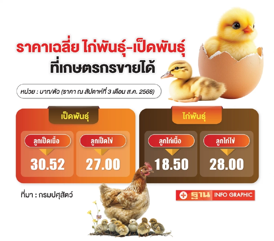 “มานิจฟาร์ม” ดันพันธุ์สัตว์ไทยสู่โลก เป้าส่งออก 80 ล้านตัว/ปี ยอดจองทะลัก