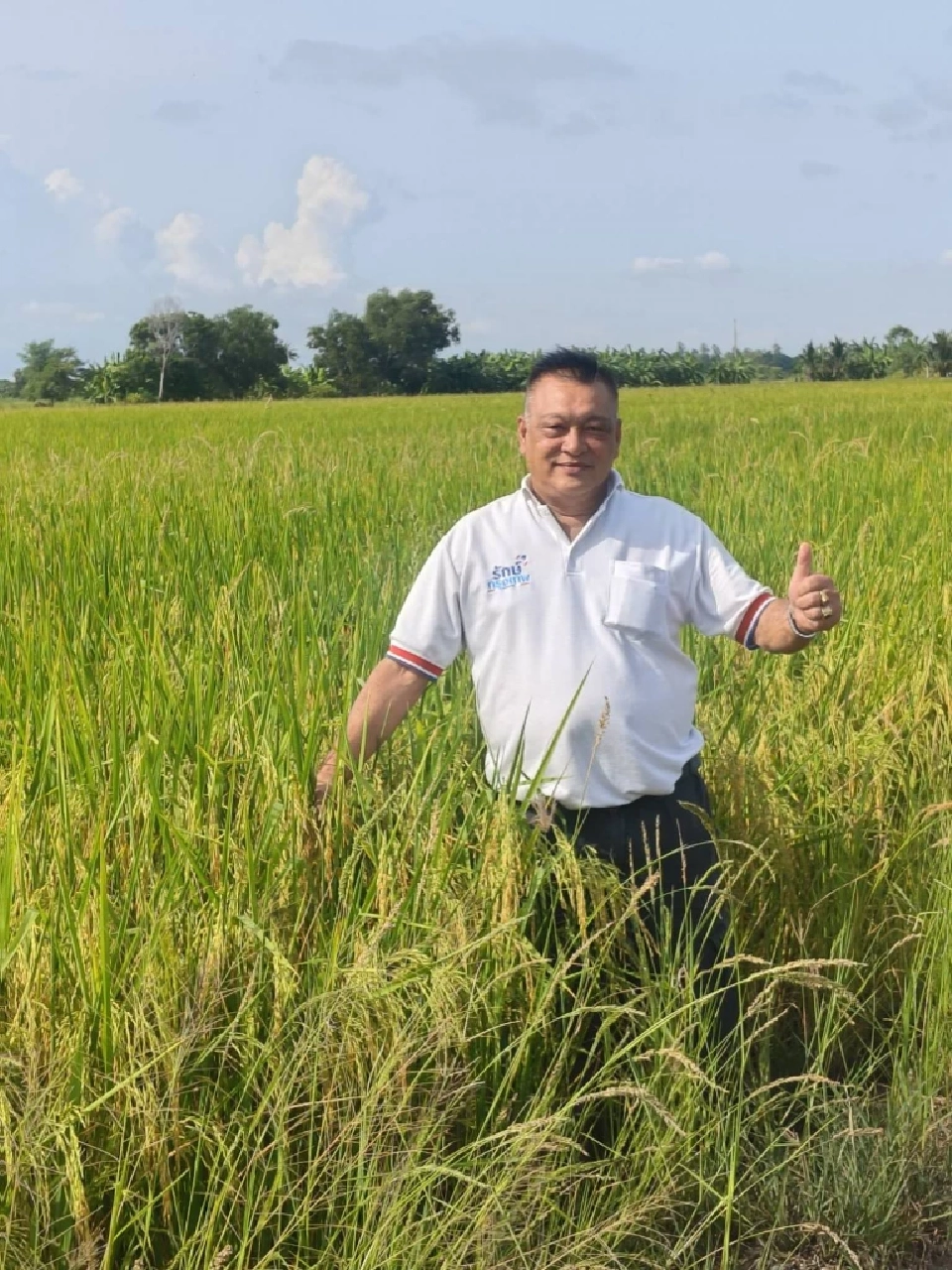 จับตา "พิชัย” สั่งประชุมด่วน นัดถก นบข.วันนี้ เคาะเงินช่วยเหลือชาวนา