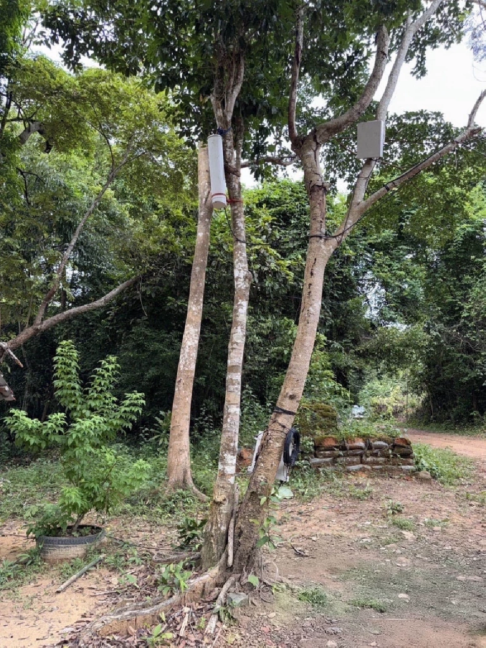  ทรู ตรวจสอบสัญญาณ หลังติดตั้ง Small Cell รับสถานการณ์ชายแดนไทย