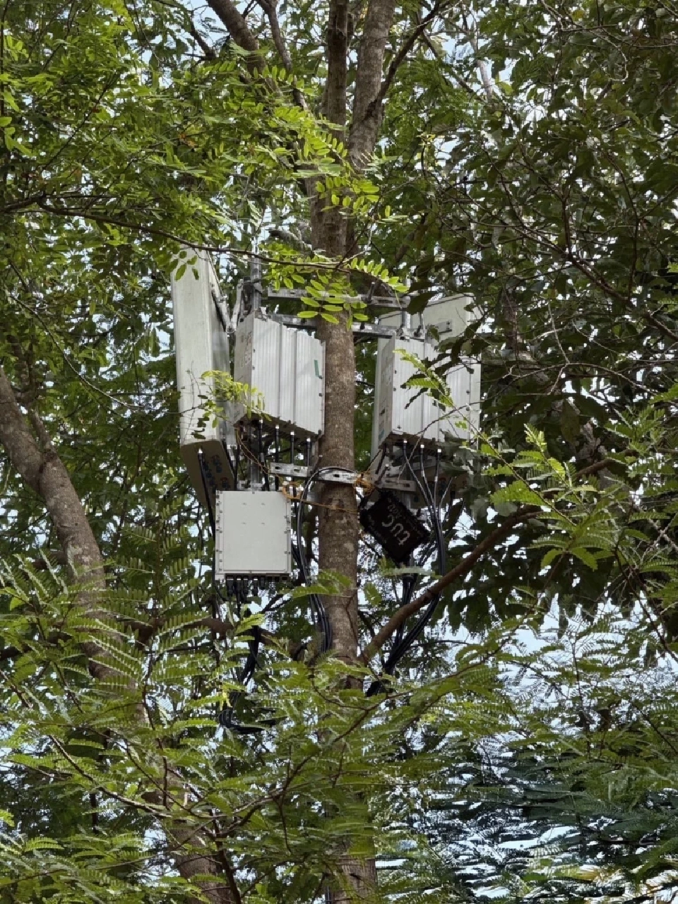  ทรู ตรวจสอบสัญญาณ หลังติดตั้ง Small Cell รับสถานการณ์ชายแดนไทย