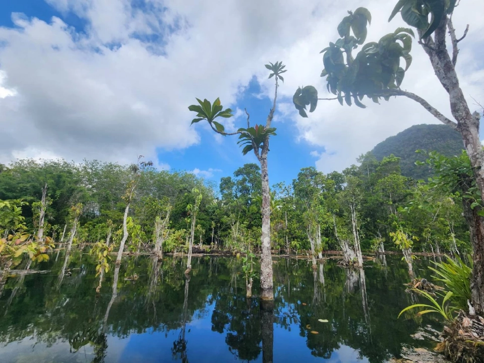 เปิดพิกัด เที่ยวกระบี่ ท่องอ่าวพังงา ตามรอย “Jurassic World”