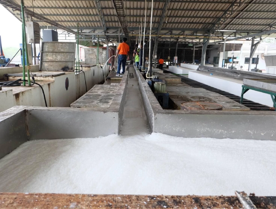 “โกตดิวัวร์” คู่แข่งใหม่ยางไทย ถูกกว่า 5 บาท/กก.–ลุ้น EUDR ช่วยดันราคา