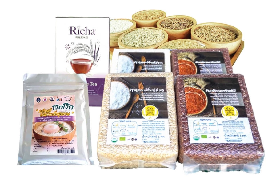 กรมการข้าว ถอดรหัสความสำเร็จ “แปลงใหญ่”ต่อยอดข้าวมูลค่าสูง