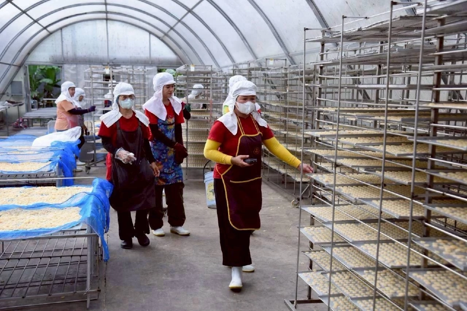 พลังงานดันสินค้าชุมชน ลดโลกร้อนสร้างรายได้ขยายเศรษฐกิจฐานราก 