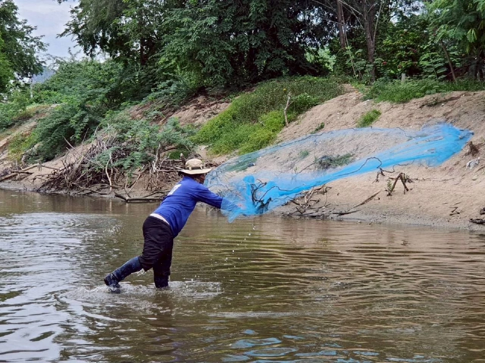 ชะอำเดินหน้าแผนระยะสั้น-ยาว ลดปลาหมอคางดำ ซีพีเอฟหนุนปลานักล่า