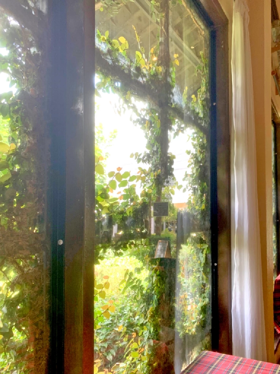 อาหารฝรั่งเมืองกาญจน์ ร้านชลุค