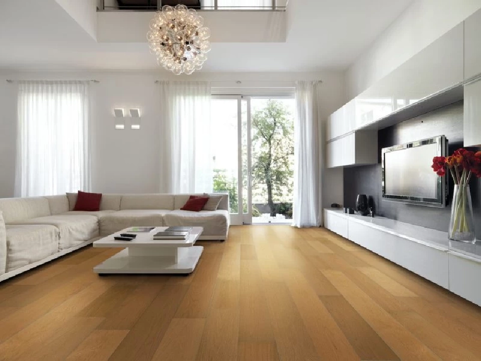 SCGD ทุ่ม 2,000 ล้าน เร่งเครื่อง Net Zero ลุยพลังงานสะอาด-ดิจิทัล เสริมแกร่งแข่งขันอาเซียน