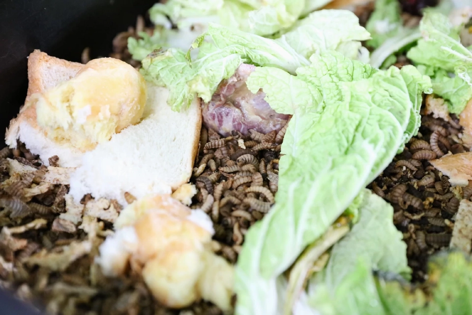 “ซีพี” ปักธง Zero Waste ผนึกทุกกลุ่มธุรกิจสู่เศรษฐกิจหมุนเวียน ส่งต่ออาหารกว่า 4 ล้านมื้อ