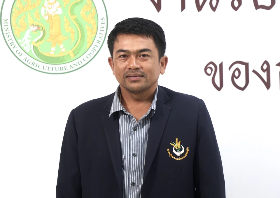 จับตา ‘กข113’ พันธุ์ข้าวป้ายแดง วงการข้าว ฮือฮา! ลุ้นยึดนาไทยแทนที่ข้าวหอมเวียดนาม