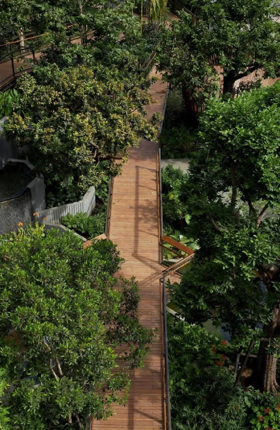 เช็คอิน 'สวนดุสิตอรุณ' สวนลอยฟ้าใหญ่สุดในไทย แลนด์มาร์กใหม่ใจกลางกรุง