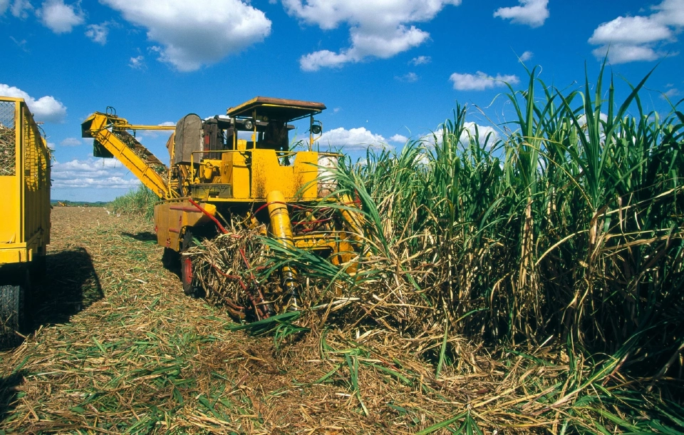 ‘ซินเจนทา’ หนุนเกษตรกรใช้นวัตกรรมชีวภาพ ยกระดับอ้อยไทยสู่เวทีโลก