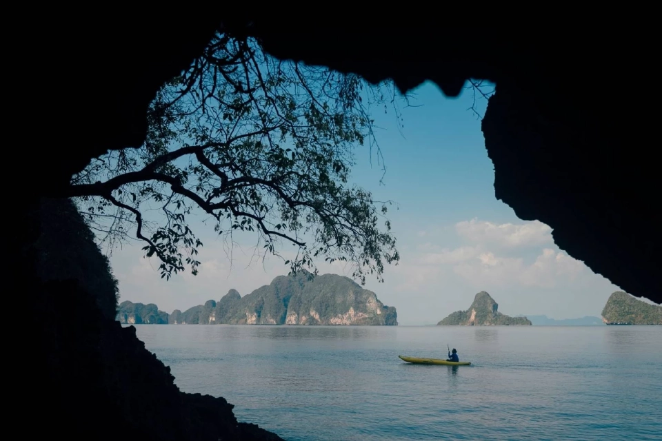 ล่องแคนูท่อง ‘อ่าวพังงา’ตามรอย ‘จูราสสิคเวิลด์’ มหัศจรรย์ แพลงก์ตอนเรืองแสง