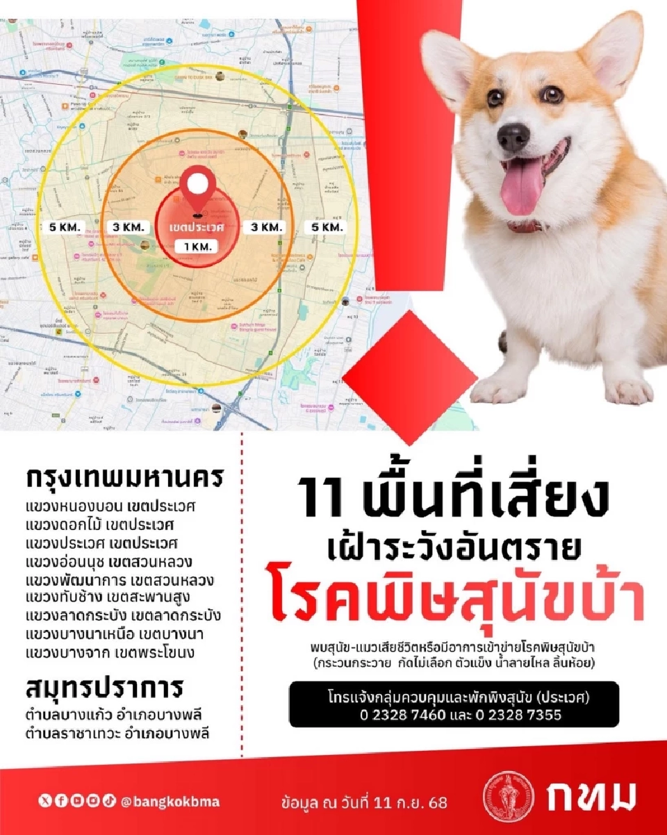 โรคพิษสุนัขบ้า ระบาด
