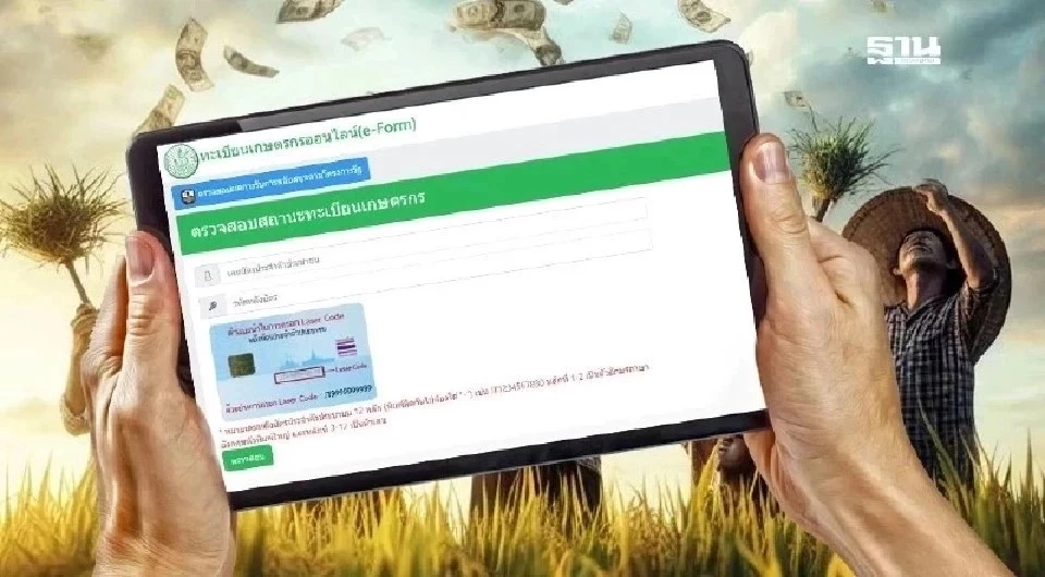 ตรวจสอบสิทธิ์รับเงินเยียวยาไร่ละ 1,000 บาท เริ่มโอน 1  - 4 ก.ย. 2568
