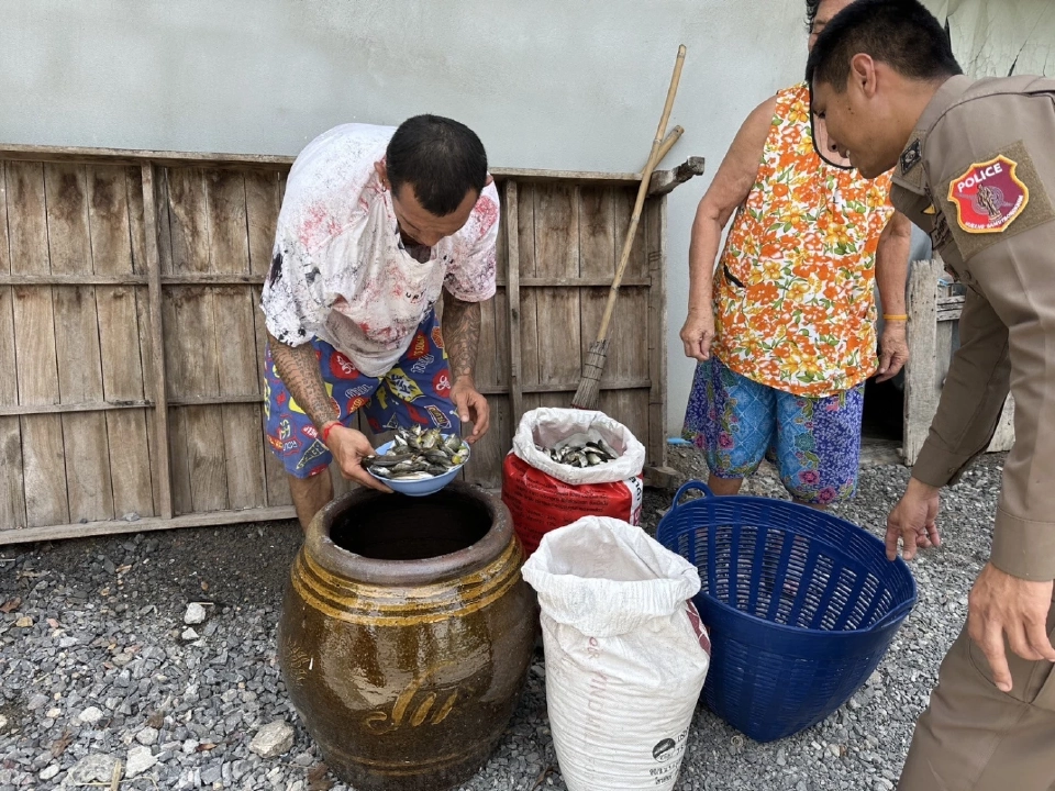 ตำรวจสมุทรสงครามฝึกทักษะหมัก"น้ำปลาหมอคางดำ"ช่วยบำบัดคนเสพยา