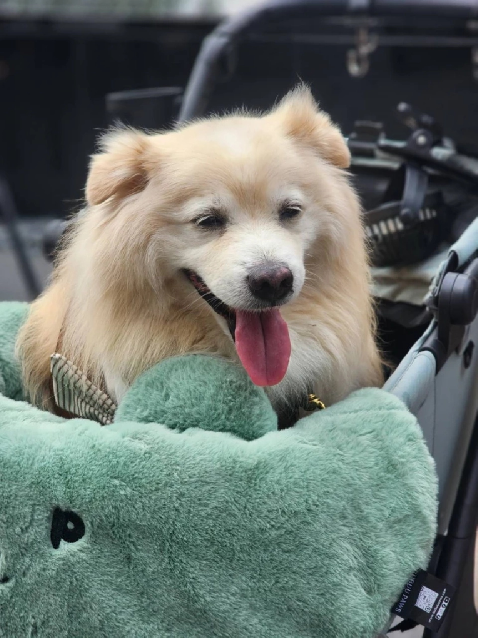 เช็คอิน 'สวนดุสิตอรุณ' สวนลอยฟ้าใหญ่สุดในไทย แลนด์มาร์กใหม่ใจกลางกรุง