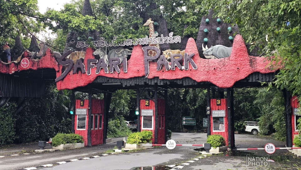 ซาฟารีเวิลด์ ประกาศเปิดให้บริการ Safari Park และ Marine Park ตามปกติ แต่ปิดโซนสัตว์ดุร้าย