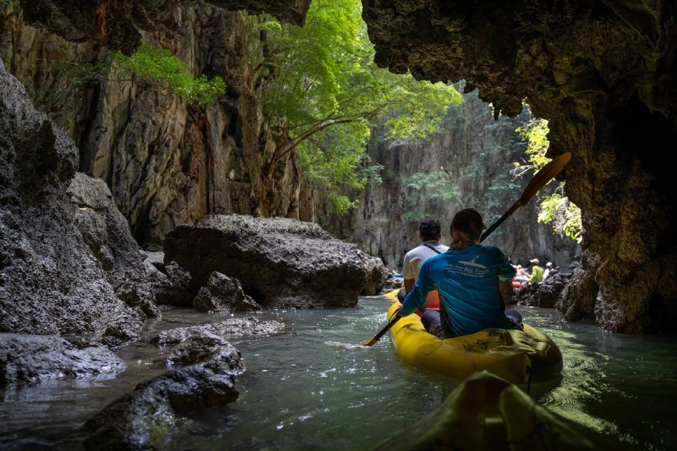 ล่องแคนูท่อง ‘อ่าวพังงา’ตามรอย ‘จูราสสิคเวิลด์’ มหัศจรรย์ แพลงก์ตอนเรืองแสง
