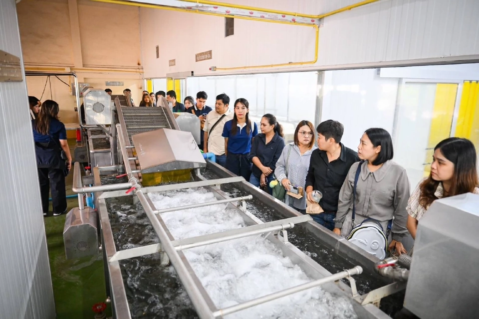 มกอช.คุมเข้มลำไยไทย สกัดซัลเฟอร์ ดันนวัตกรรมเจาะตลาดจีน