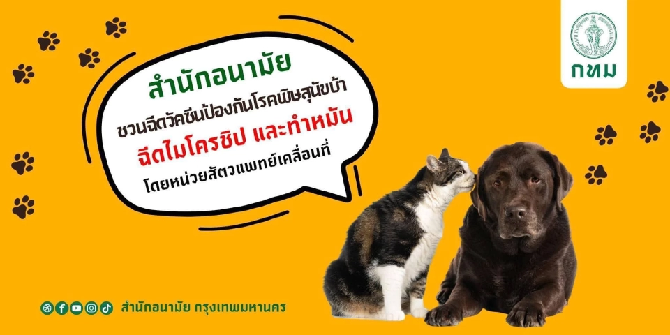 ฉีดวัคซีนป้องกันโรคพิษสุนัขบ้า ฝังไมโครชิป ทำหมันฟรี! 2568 หมา-แมว ที่ไหนบ้าง