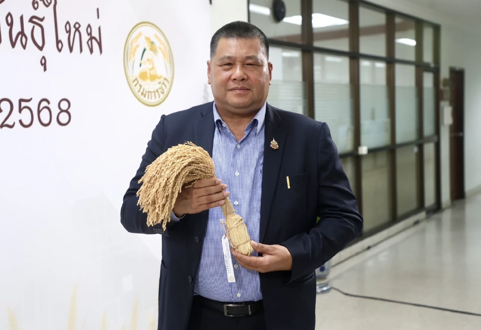 จับตา ‘กข113’ พันธุ์ข้าวป้ายแดง วงการข้าว ฮือฮา! ลุ้นยึดนาไทยแทนที่ข้าวหอมเวียดนาม