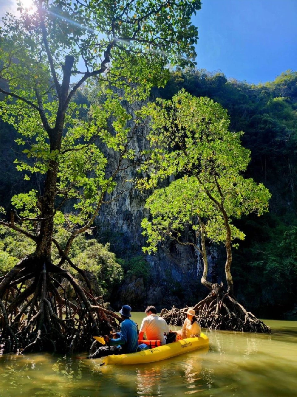 ล่องแคนูท่อง ‘อ่าวพังงา’ตามรอย ‘จูราสสิคเวิลด์’ มหัศจรรย์ แพลงก์ตอนเรืองแสง