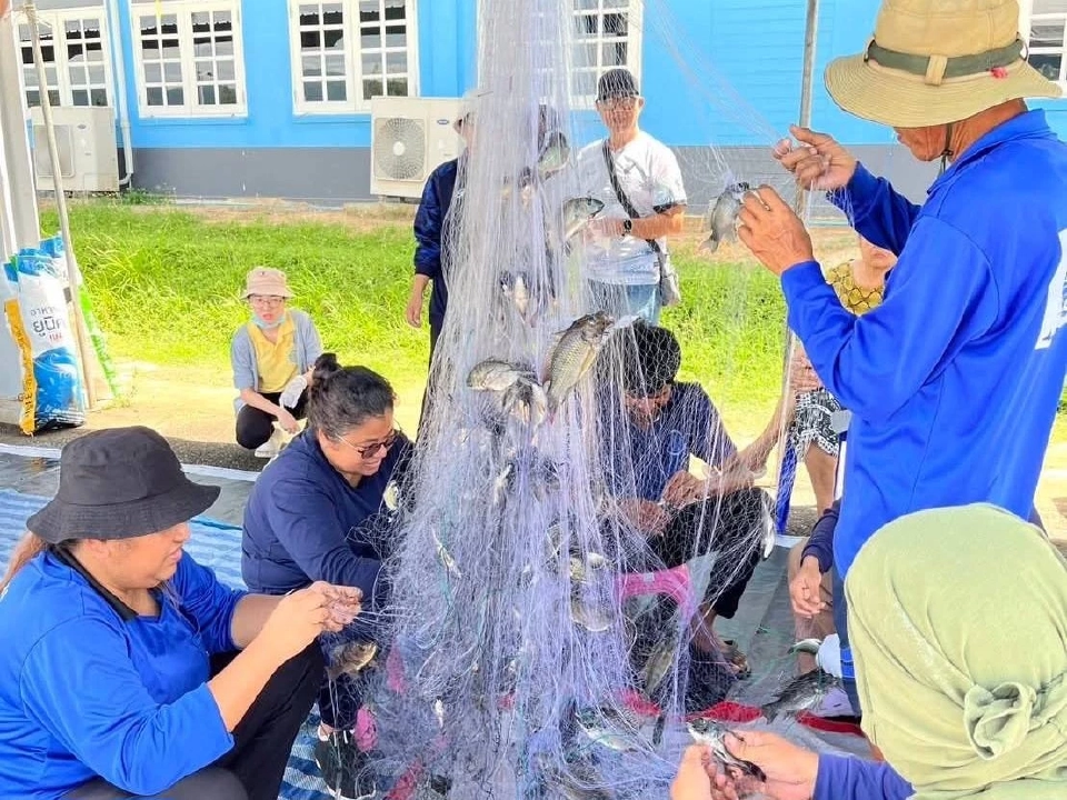 เพชรบุรีผนึกกำลังชุมชนจัดการ “ปลาหมอคางดำ” ต่อเนื่อง