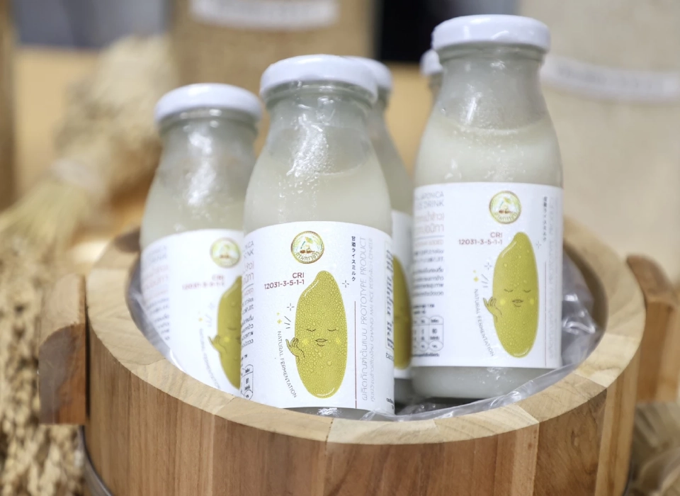 จับตา ‘กข113’ พันธุ์ข้าวป้ายแดง วงการข้าว ฮือฮา! ลุ้นยึดนาไทยแทนที่ข้าวหอมเวียดนาม