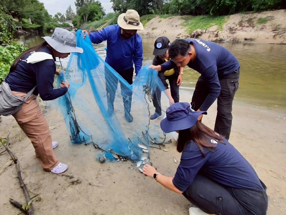 ชะอำเดินหน้าแผนระยะสั้น-ยาว ลดปลาหมอคางดำ ซีพีเอฟหนุนปลานักล่า
