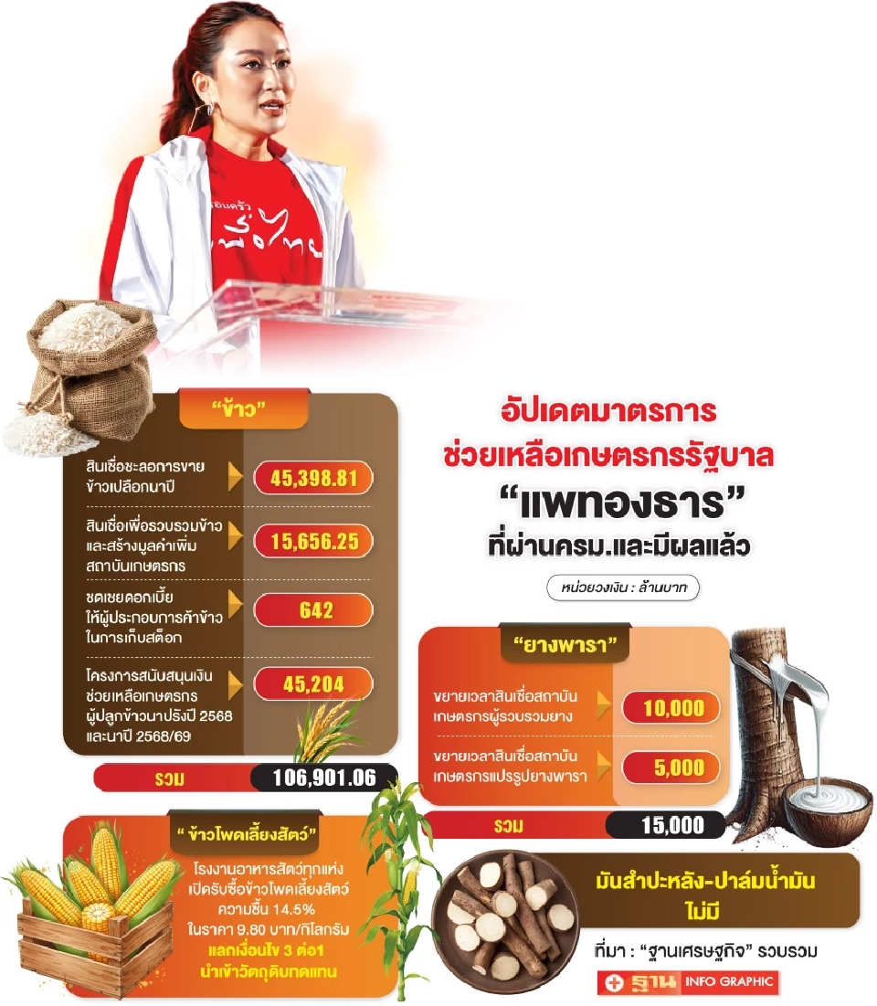 'แพทองธาร' ทุ่มแสนล้านพยุงข้าว จับตาปาล์ม–ประมงป่วน รับรัฐบาลใหม่