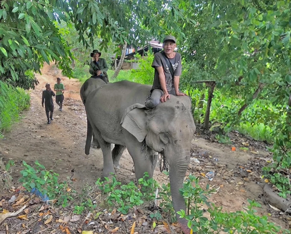 ผ่าจ้านช้าง ผ่าจ้านผี