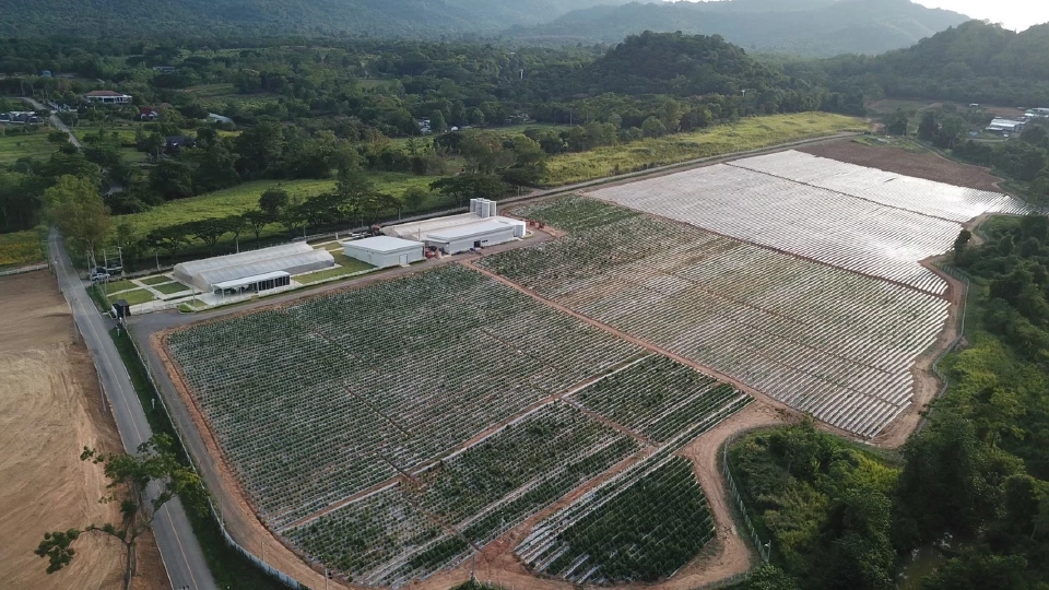 รู้จักกับสาร CBD ทางเลือกด้านสุขภาพ สำหรับความเครียด-นอนไม่หลับ