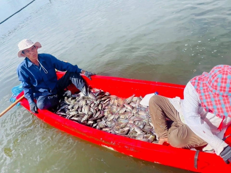 เพชรบุรีผนึกกำลังชุมชนจัดการ “ปลาหมอคางดำ” ต่อเนื่อง