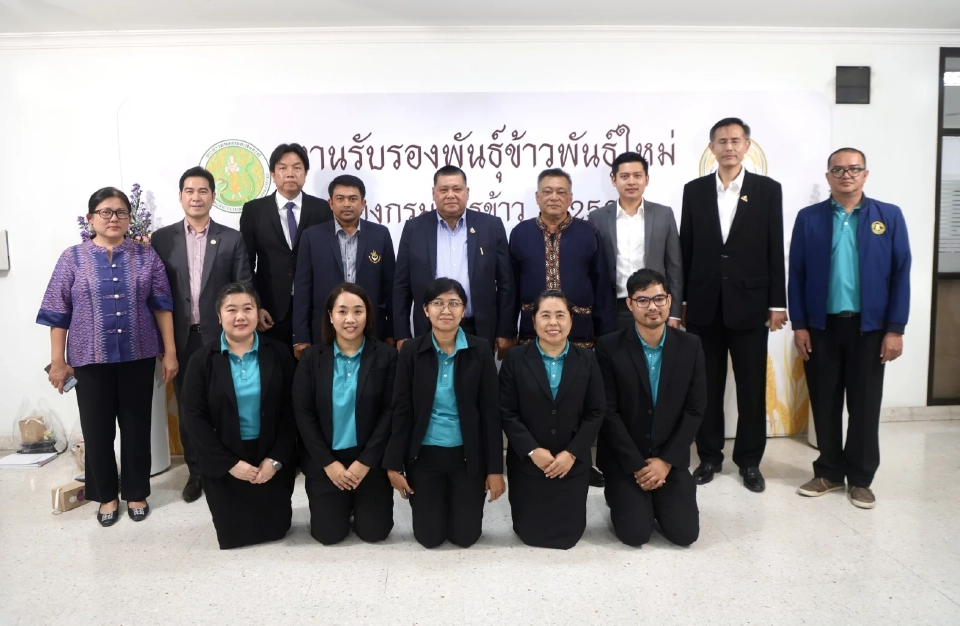 จับตา ‘กข113’ พันธุ์ข้าวป้ายแดง วงการข้าว ฮือฮา! ลุ้นยึดนาไทยแทนที่ข้าวหอมเวียดนาม