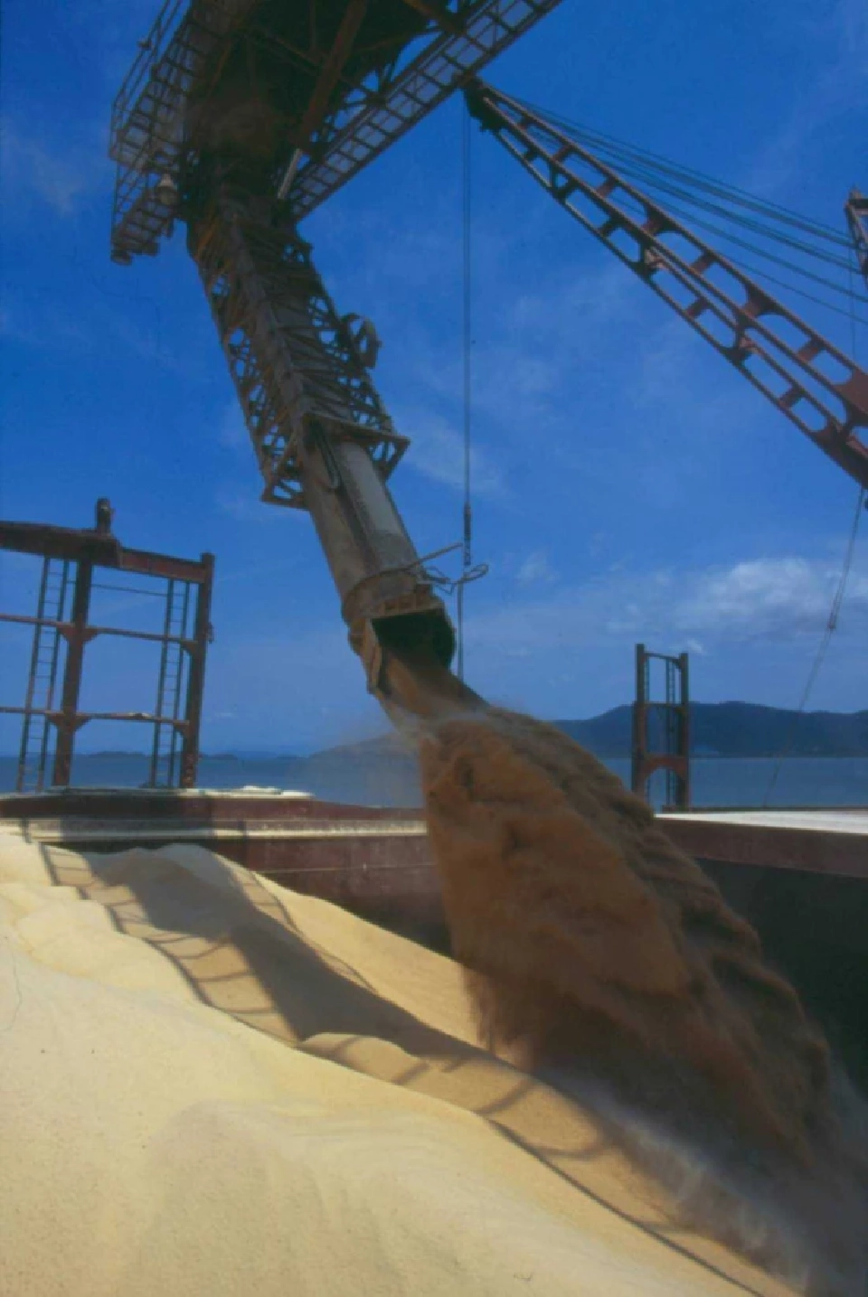 “บังกี้-กรุงเทพโปรดิ๊วส”จับมือใช้บล็อกเชนยกระดับห่วงโซ่อุปทานถั่วเหลือง