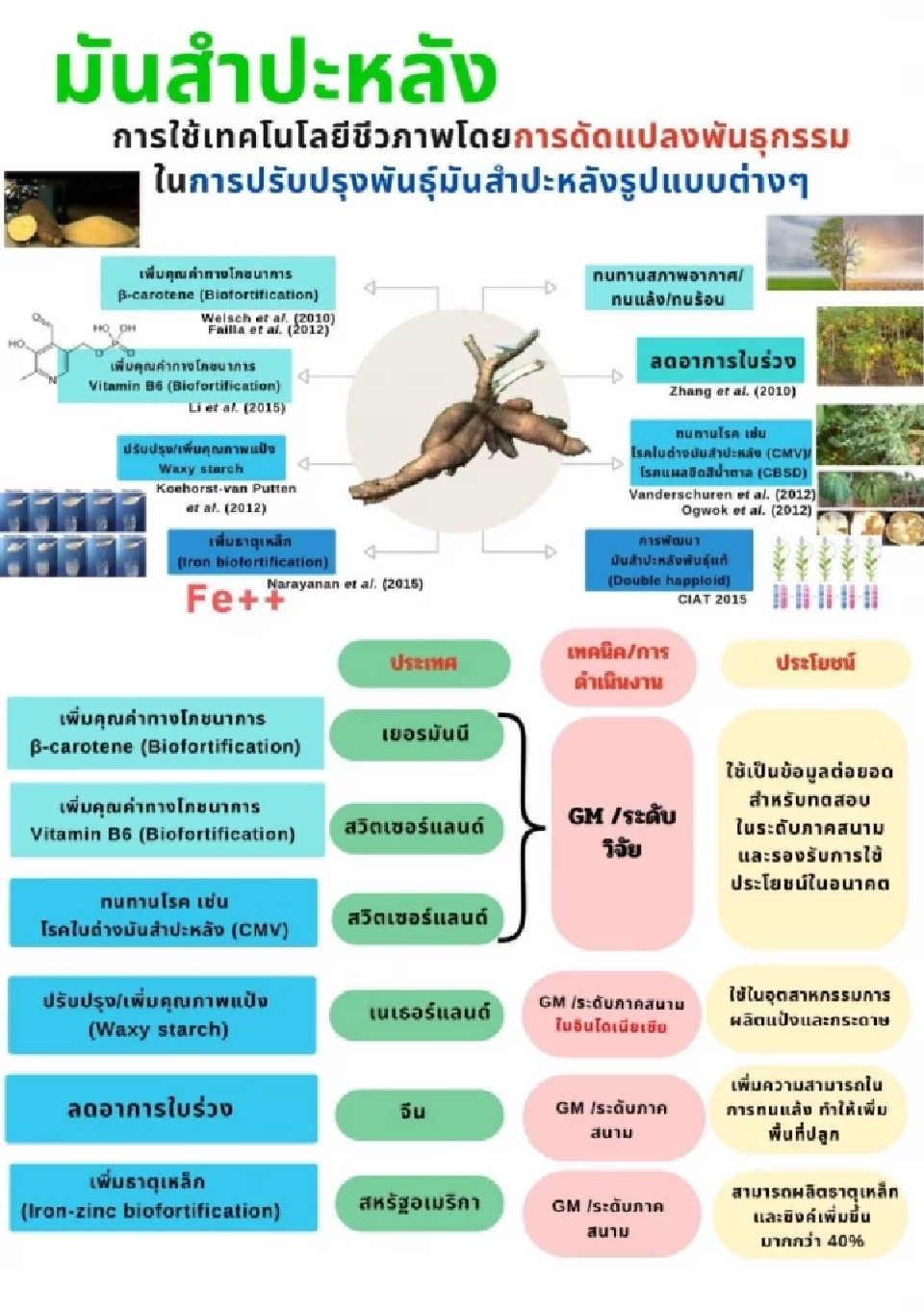 'ธรรมนัส'  ย้ำเทคโนฯ ปรับแต่งจีโนม ไม่ใช่ จีเอ็มโอ มั่่นใจปลอดภัย ดันรายได้เกษตรกรพุ่ง