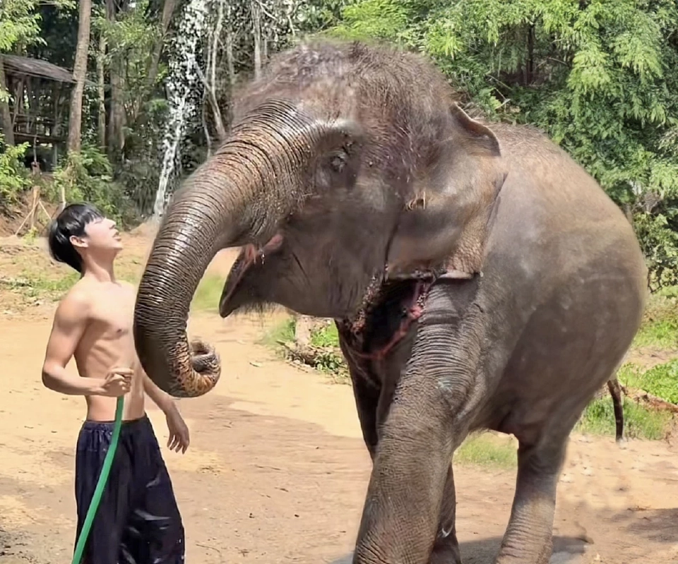 ผ่าจ้านช้างผ่าจ้านผี