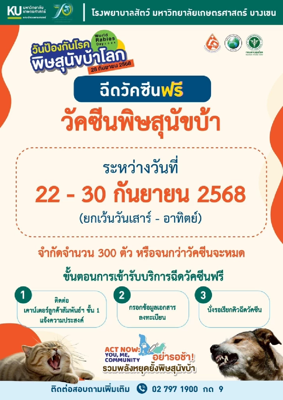 ฉีดวัคซีนป้องกันโรคพิษสุนัขบ้า ฝังไมโครชิป ทำหมันฟรี! 2568 หมา-แมว ที่ไหนบ้าง