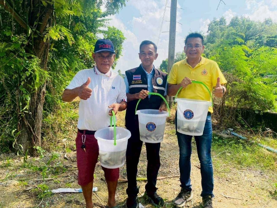 กรมประมงเดินหน้าปล่อย “ปลานักล่า” คุมเข้ม “ปลาหมอคางดำ”