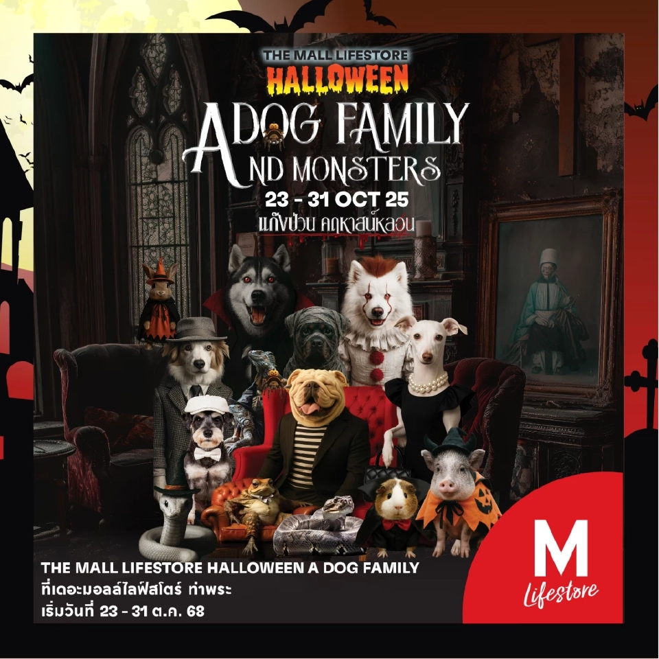 รวมฮิตกิจกรรม “ฮาโลวีน 2025” หลอนทั่วไทย บ้านผีสิงเต็มทุกศูนย์