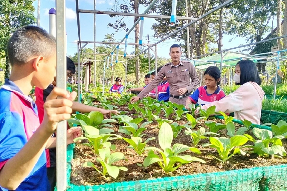 “ไข่จากมือเด็ก พลังใหม่สู่ชุมชน” ซีพีเอฟต่อยอดโครงการเลี้ยงไก่ไข่ร่วมสร้างความมั่นคงทางอาหาร