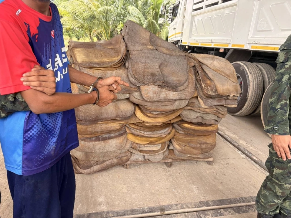 ลักลอบนำเข้ายางพาราโดยผิดกฎหมาย