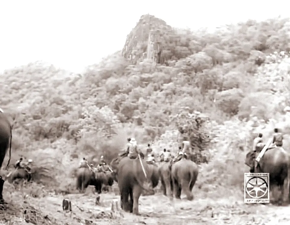 วิธีจับช้าง