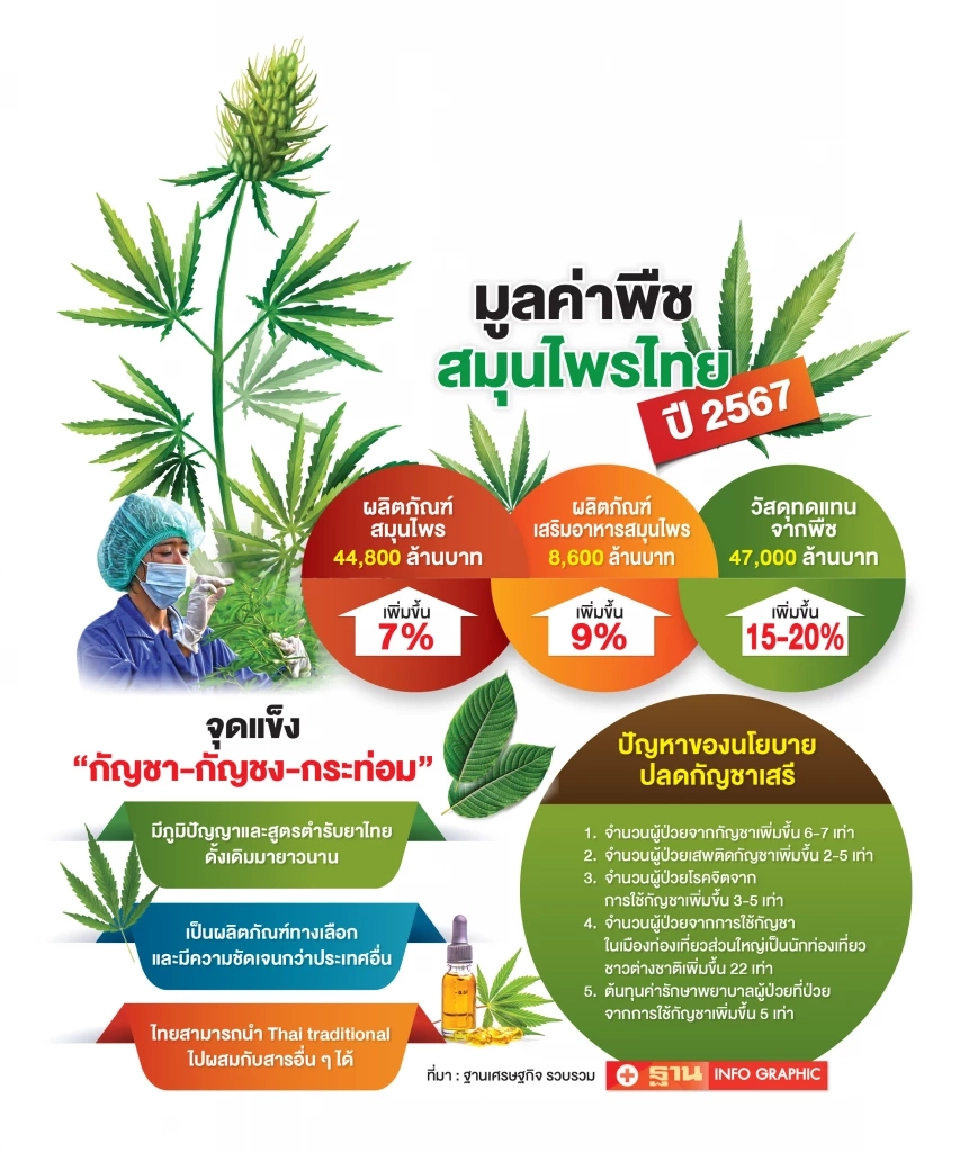 ส่องโอกาส “กัญชา-กัญชง-กระท่อม” ปักธงไทยสู่เทรนด์โลกด้านสุขภาพครบวงจร