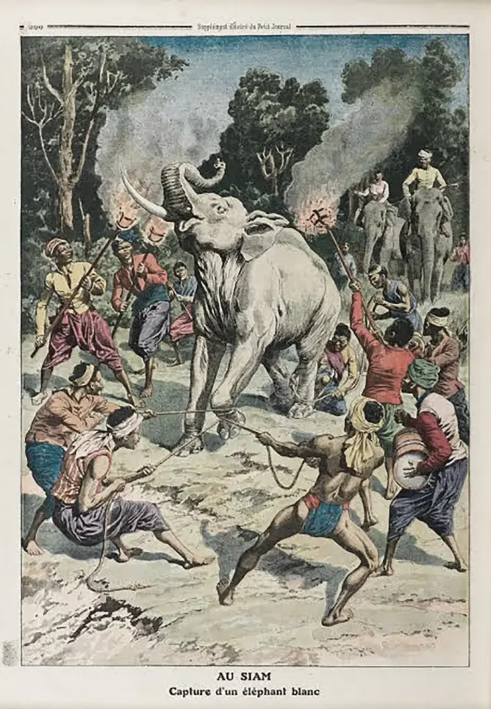 วิธีจับช้าง 2