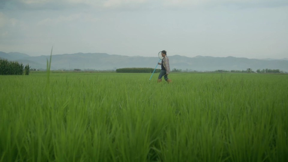 เนชั่นแนล จีโอกราฟฟิก-เป๊ปซี่โค ผนึกกำลัง ขับเคลื่อนเกษตรกรรมเชิงฟื้นฟู เป้าทั่วโลก 10 ล้านเอเคอร์