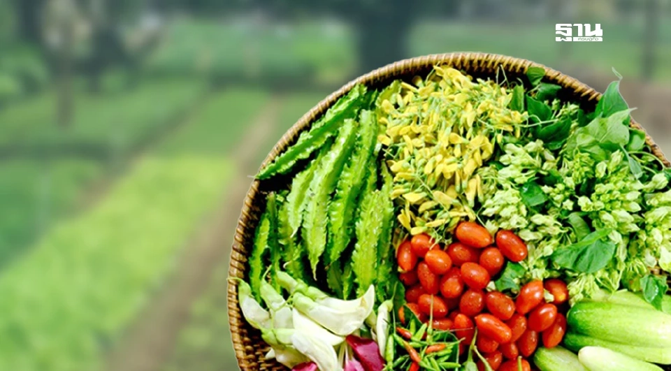 รู้จักผักไทย 10 ชนิด โปรตีนสูง เพิ่มสารอาหารครบทุกมื้อ