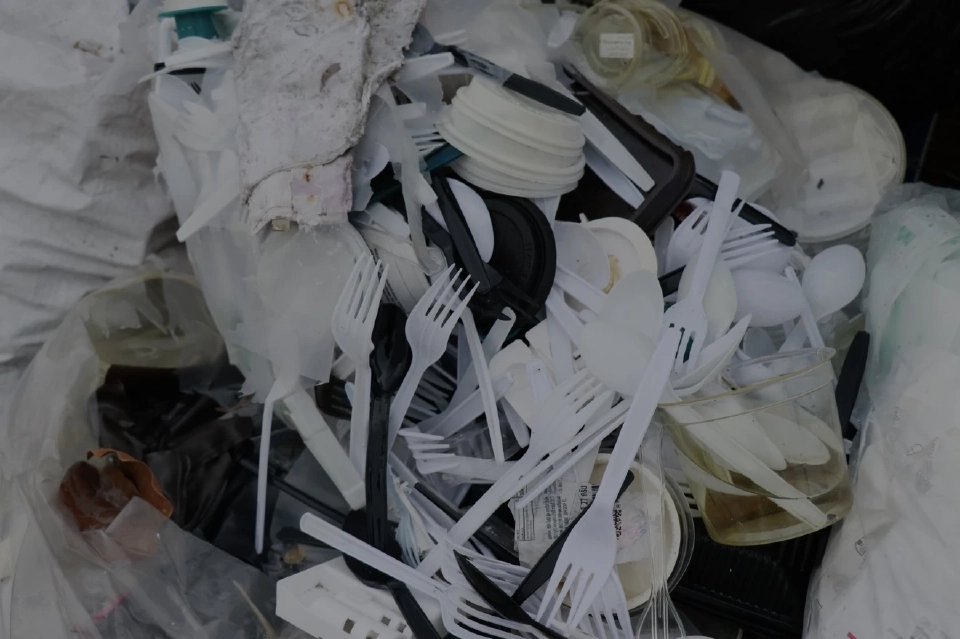 ขยะไม่ไร้ค่า ถ้าไม่เทรวม : หนองแขมโมเดล พลิกเมืองด้วยการแยกขยะ